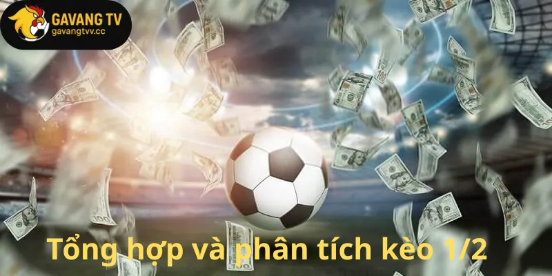 Tổng hợp và phân tích kèo 1/2
