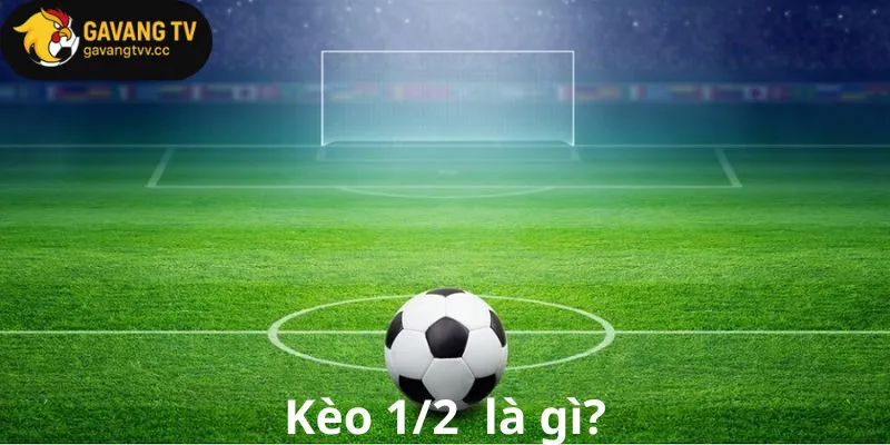 Kèo 1/2 là gì?