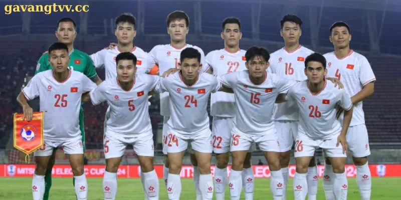 Giới thiệu về gavang tv