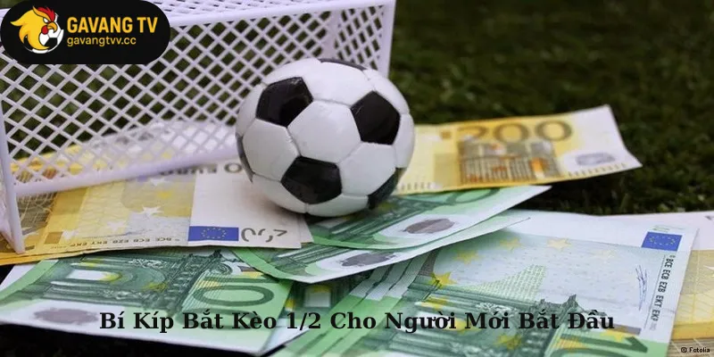 Bí Kíp Bắt Kèo 1/2 Cho Người Mới Bắt Đầu
