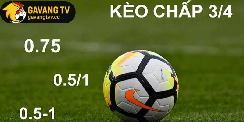Các loại kèo tài xỉu phổ biến