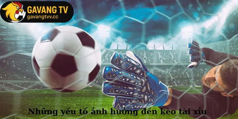 Những yếu tố ảnh hưởng đến kèo tài xỉu